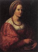 Andrea del Sarto Portrait of a Woman with a Basket of Spindles oil painting reproduction